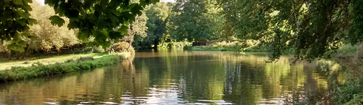 Wey navigation