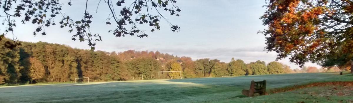 Shalford Park banner image