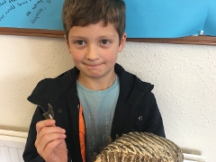Boy holding Museum object