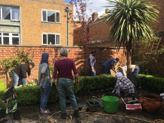 Refugee project garden