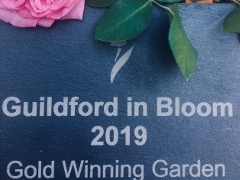 Guildford in Bloom award for the Syrian garden project