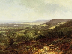 Caffyn Walter Wallor - 894 - The Weald of Surrey