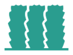 Hedge Hedge icon