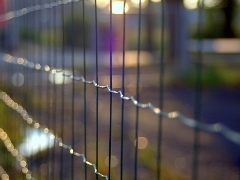 wire fence wire fence