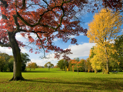 Autumn Autumn