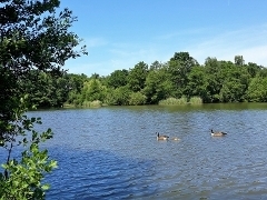 lakeside nature reserve