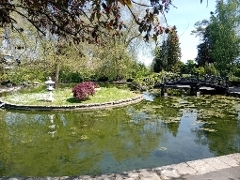 japanese garden stoke park