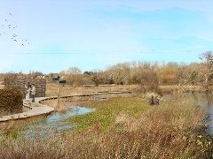 Landscape visualisations of new nature reserve at Burpham Court Farm