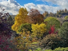 Castle_Autumn_Oct23 (3)